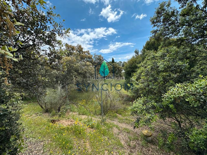 Foto 74f1601d-88ab-4242-9ebc-9f194d470f4c. Landgut in calle castillo de almansa 1 in Cerro Alarcón Valdemorillo