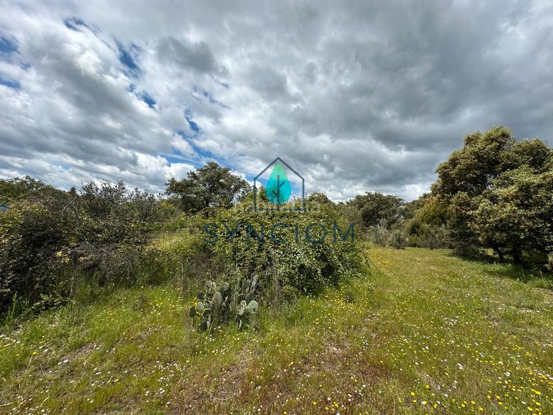 Foto 8530812f-f529-465f-bbf4-0160add9e80e. Landgut in calle castillo de almansa 1 in Cerro Alarcón Valdemorillo