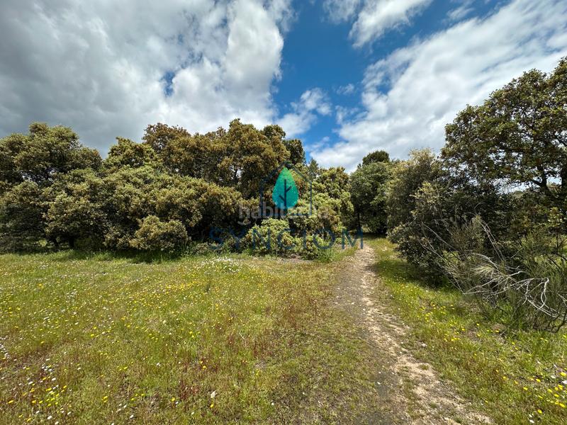 Foto 9fb644d0-265c-4247-8d2b-370f29063169. Landgut in calle castillo de almansa 1 in Cerro Alarcón Valdemorillo