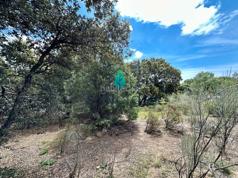 Foto a161c43a-87fa-4f54-aa4d-d917bb4e601d. Landgut in calle castillo de almansa 1 in Cerro Alarcón Valdemorillo