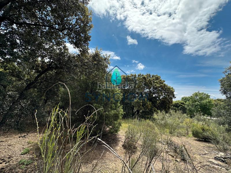 Foto ab29b9fe-000f-49ba-9aea-e0f979e833fb. Landgut in calle castillo de almansa 1 in Cerro Alarcón Valdemorillo