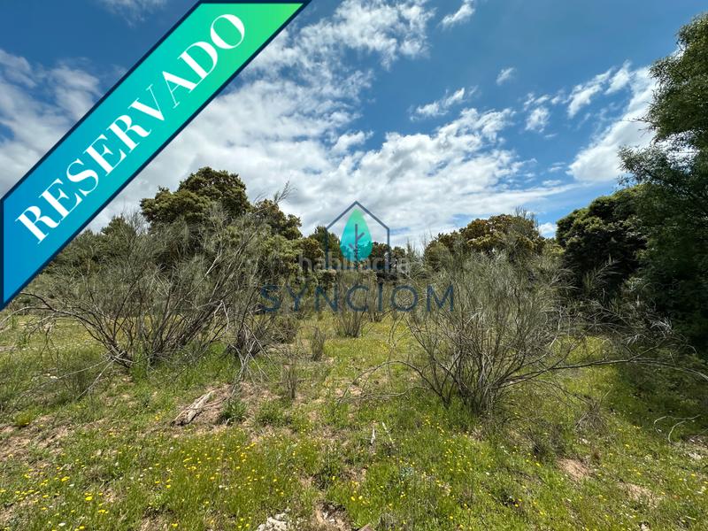 Foto c556f2d5-8472-4f5a-9d4e-e1873122bc5c. Landgut in calle castillo de almansa 1 in Cerro Alarcón Valdemorillo