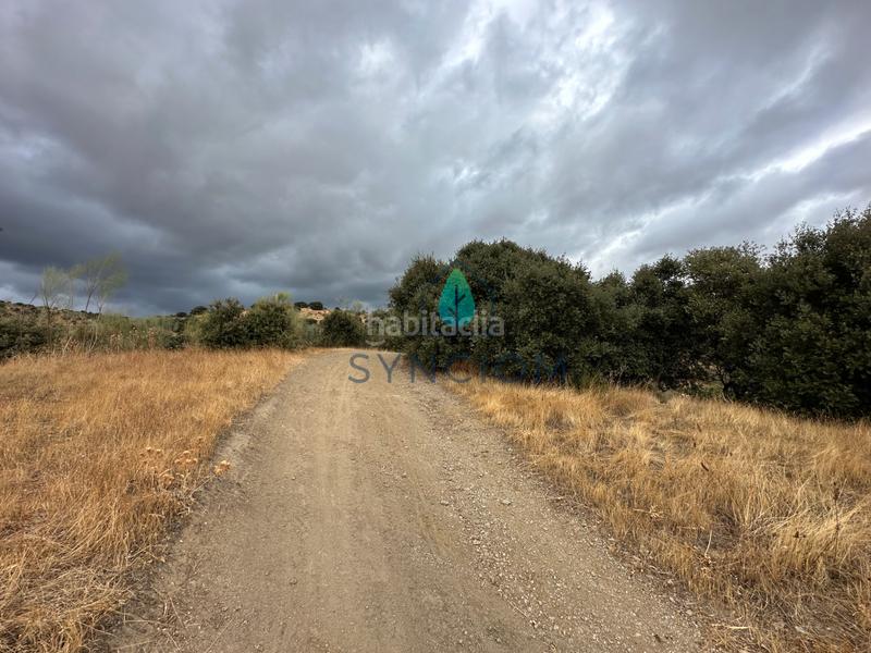 Foto 04583d97-b997-496c-8ca8-02c218176664. Fondo rustico in calle la fuente 14 in Valdemorillo pueblo Valdemorillo