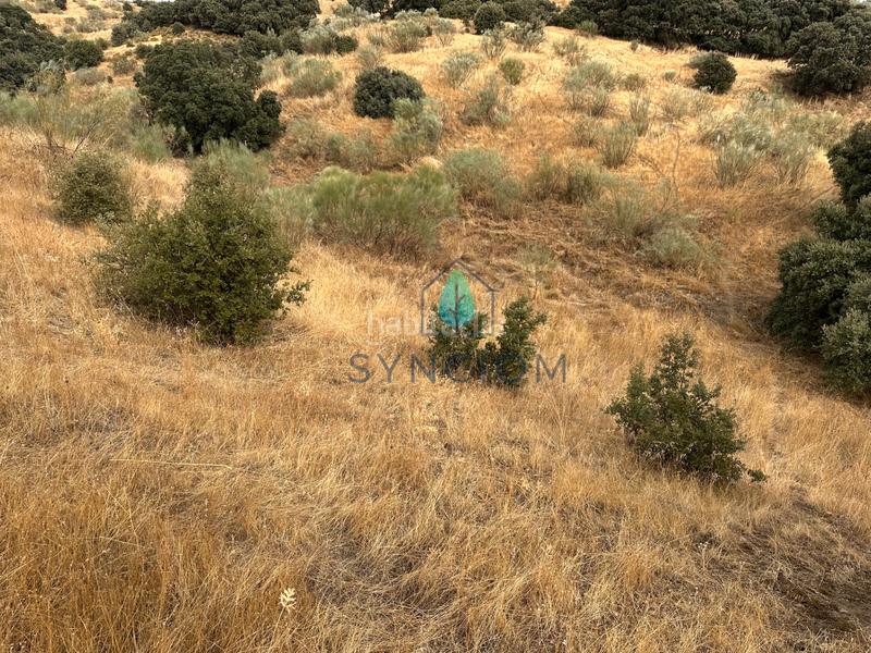 Foto 09925e18-805c-4e9e-8e30-1b8790a203e2. Fondo rustico in calle la fuente 14 in Valdemorillo pueblo Valdemorillo