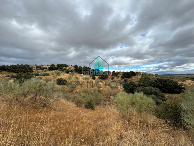 Foto 10365ffb-b836-4a72-88e8-2b50949b102c. Fondo rustico in calle la fuente 14 in Valdemorillo pueblo Valdemorillo