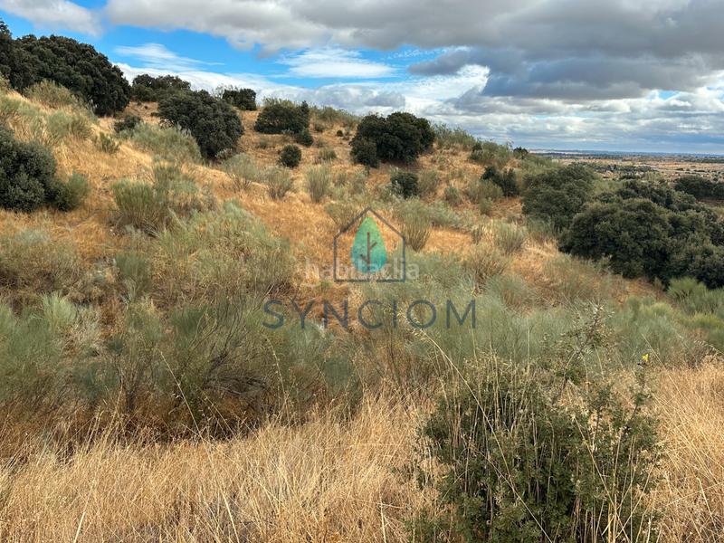 Foto 217bf1d7-6268-489a-84c8-9f5d687e6774. Fondo rustico in calle la fuente 14 in Valdemorillo pueblo Valdemorillo