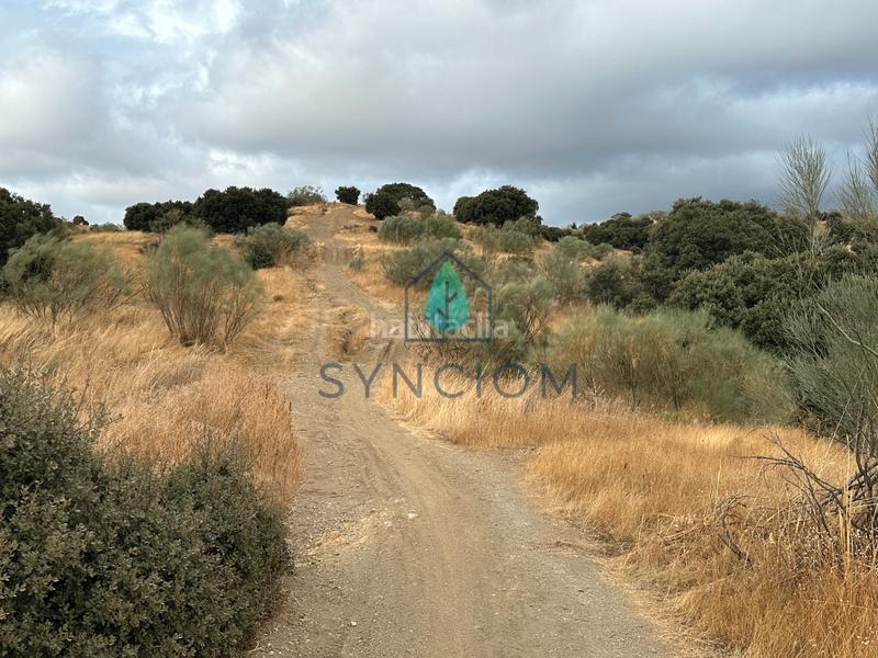 Foto 2709288e-bf93-43c5-91eb-84b808341702. Fondo rustico in calle la fuente 14 in Valdemorillo pueblo Valdemorillo