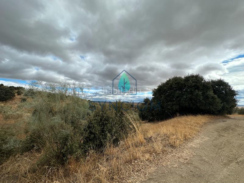 Foto 29f6bcaa-e4fe-4e5e-b3d2-4121797b8cef. Fondo rustico in calle la fuente 14 in Valdemorillo pueblo Valdemorillo