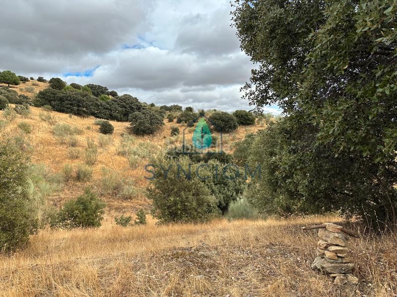 Foto 3170bef0-a319-4026-b8f2-3ce9fc618310. Fondo rustico in calle la fuente 14 in Valdemorillo pueblo Valdemorillo