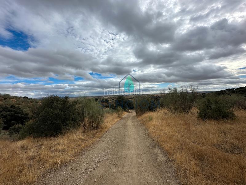 Foto 35cc935e-f70c-41dc-8813-6f8db8ef4b3f. Fondo rustico in calle la fuente 14 in Valdemorillo pueblo Valdemorillo