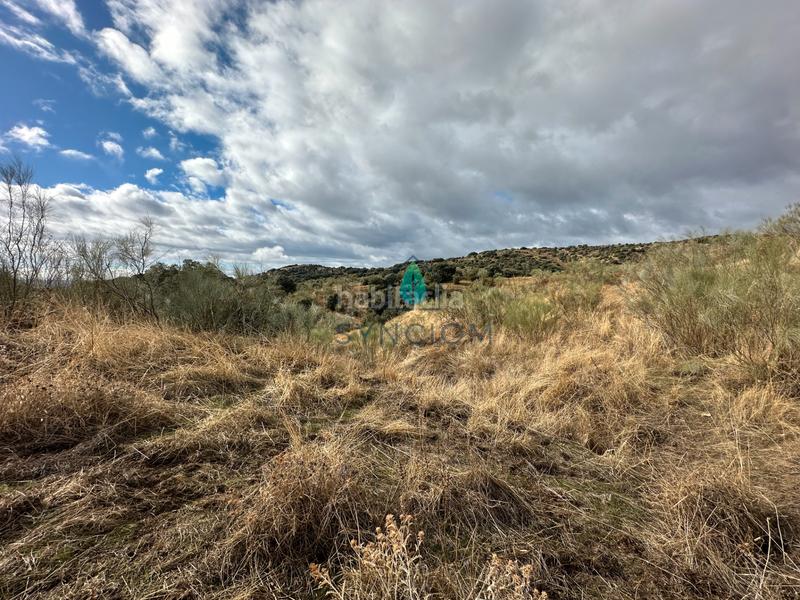 Foto 3bf2b1c0-cce8-4b05-bc79-03ee68a1dd88. Fondo rustico in calle la fuente 14 in Valdemorillo pueblo Valdemorillo