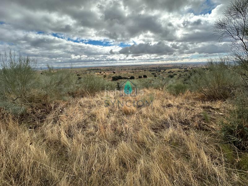 Foto 40b5b528-93c3-446b-85f5-5856c71ef9f3. Fondo rustico in calle la fuente 14 in Valdemorillo pueblo Valdemorillo