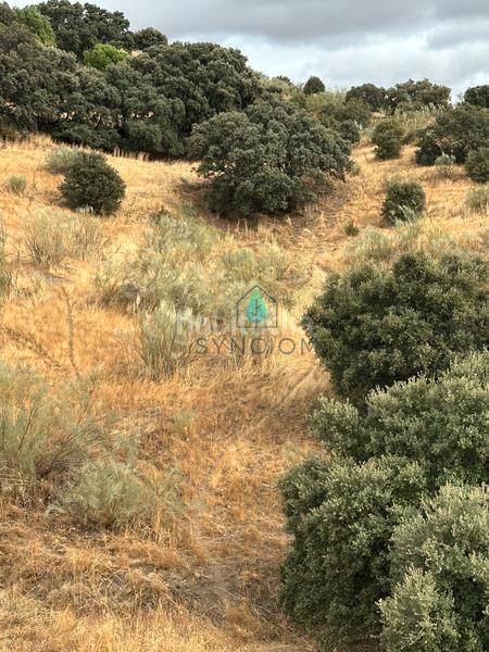 Foto 51eea344-2855-4364-82ef-f55195df6b86. Fondo rustico in calle la fuente 14 in Valdemorillo pueblo Valdemorillo