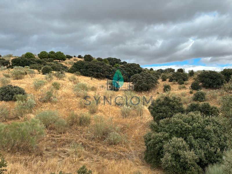 Foto 64defe55-9375-402d-9c7f-1dafea3f285b. Fondo rustico in calle la fuente 14 in Valdemorillo pueblo Valdemorillo