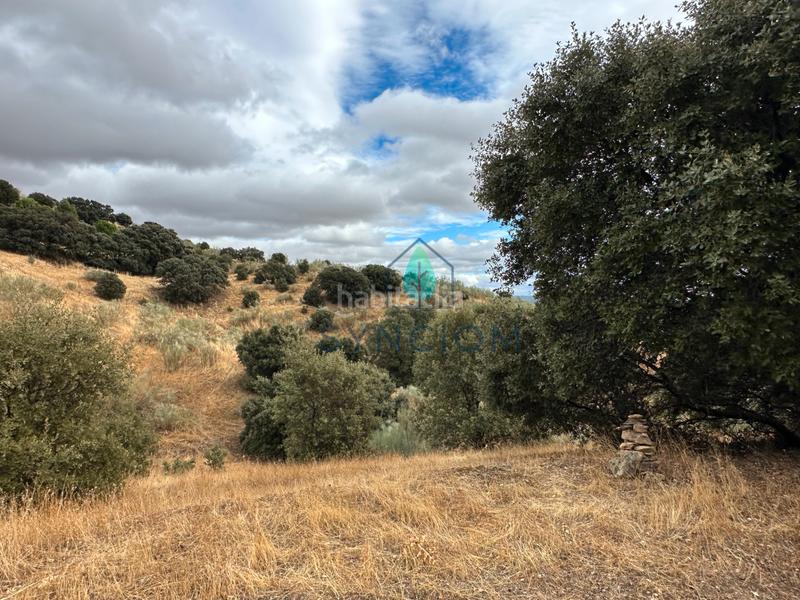 Foto 749a22f4-6977-4d4f-ac43-a01d33d3cbfb. Fondo rustico in calle la fuente 14 in Valdemorillo pueblo Valdemorillo