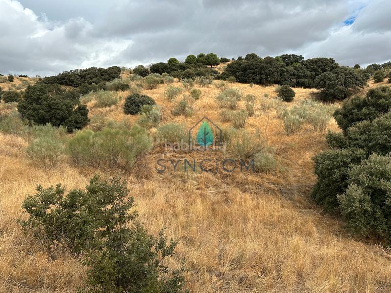 Foto 75c41eb4-4e03-4bc5-9479-20ee1e850e3e. Fondo rustico in calle la fuente 14 in Valdemorillo pueblo Valdemorillo