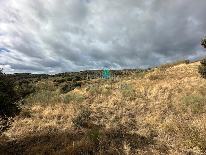 Foto 767b8965-87b5-488e-9346-4b0a1d749c36. Fondo rustico in calle la fuente 14 in Valdemorillo pueblo Valdemorillo