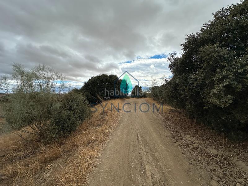 Foto 8b471579-5cff-4595-9ac5-f074c415efdf. Fondo rustico in calle la fuente 14 in Valdemorillo pueblo Valdemorillo