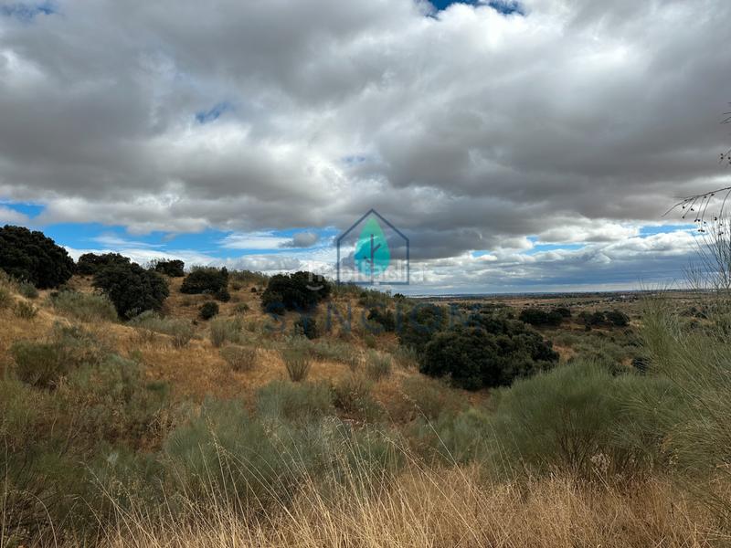 Foto 959ad5f6-4dc2-40f7-b914-e1ef3426d13b. Fondo rustico in calle la fuente 14 in Valdemorillo pueblo Valdemorillo