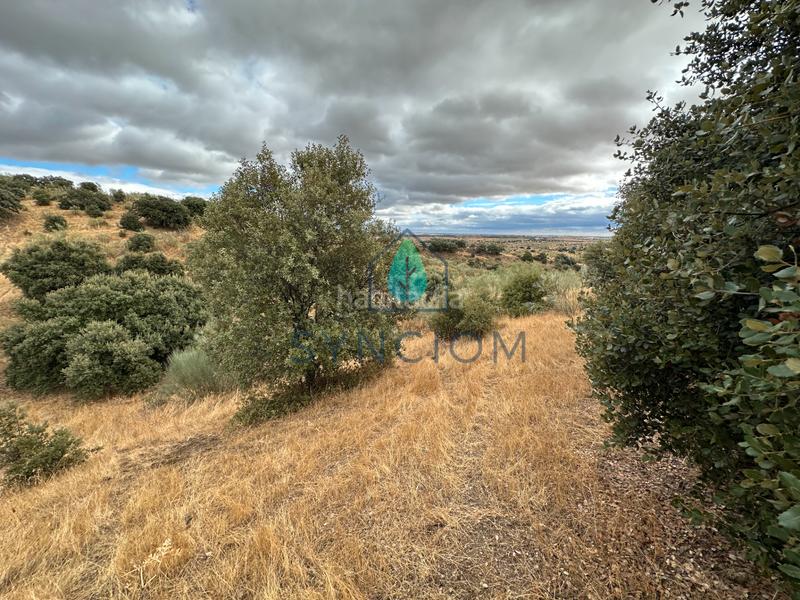 Foto 970fcb95-6668-442c-a705-228ef3e88bf8. Fondo rustico in calle la fuente 14 in Valdemorillo pueblo Valdemorillo