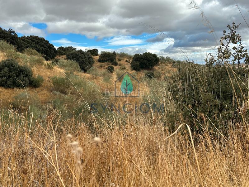 Foto 9f2f7509-472d-463b-b8a0-e41e3f2d7568. Fondo rustico in calle la fuente 14 in Valdemorillo pueblo Valdemorillo