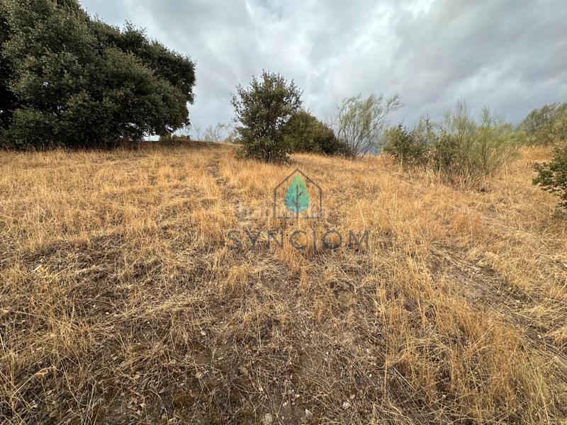 Foto a99ba80a-b80e-4bfb-b814-6f3309da5580. Fondo rustico in calle la fuente 14 in Valdemorillo pueblo Valdemorillo