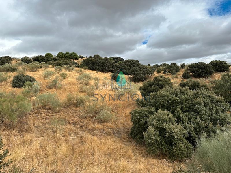 Foto ac18e57c-37dc-4b5d-a4d0-cc05af1d1804. Fondo rustico in calle la fuente 14 in Valdemorillo pueblo Valdemorillo