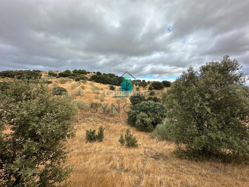 Foto acc06f26-02c0-47fc-8628-f0b3ac51d563. Fondo rustico in calle la fuente 14 in Valdemorillo pueblo Valdemorillo