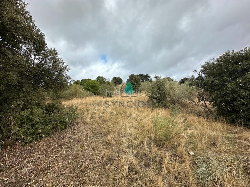 Foto b57eaebc-a35d-4cf2-8a5d-4454b1193f39. Fondo rustico in calle la fuente 14 in Valdemorillo pueblo Valdemorillo