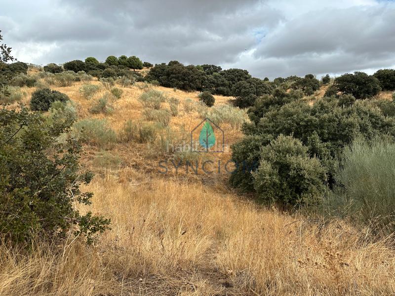 Foto b74cfc23-16e7-4715-9a8a-c5c3af4ef402. Fondo rustico in calle la fuente 14 in Valdemorillo pueblo Valdemorillo