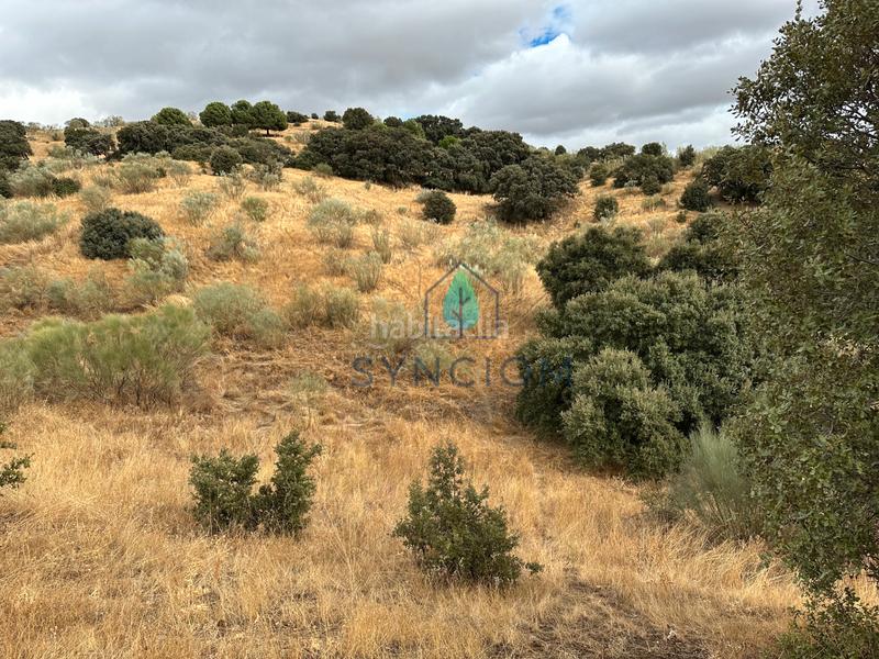 Foto c9b512b7-6d25-4ff6-a0c1-dcfabec8d38b. Fondo rustico in calle la fuente 14 in Valdemorillo pueblo Valdemorillo