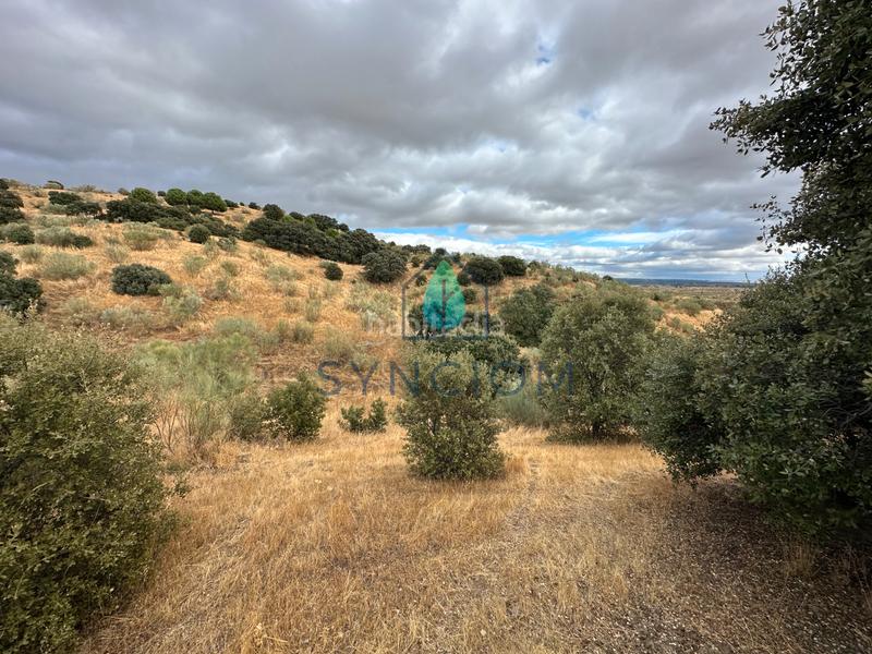 Foto ca062399-3e24-4d25-9e9f-4afed4844f31. Fondo rustico in calle la fuente 14 in Valdemorillo pueblo Valdemorillo