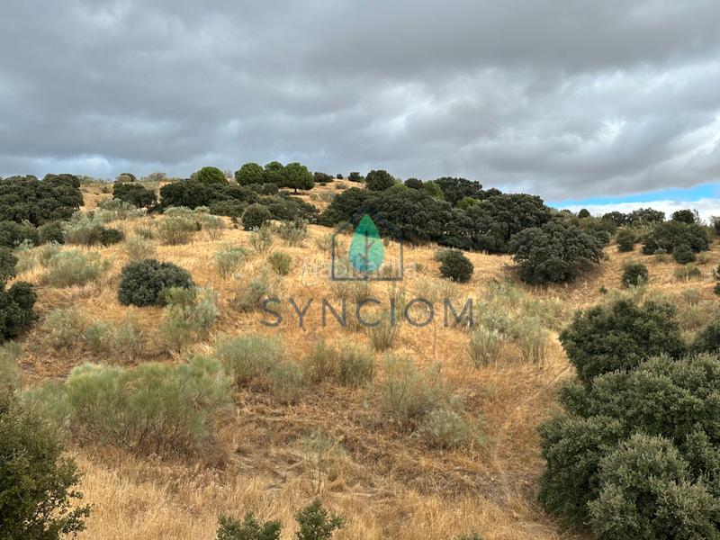 Foto cb19f5a4-780c-4a7f-b070-a916df8f161c. Fondo rustico in calle la fuente 14 in Valdemorillo pueblo Valdemorillo