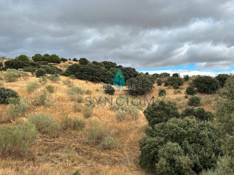 Foto d73d3e06-a2a9-45a9-adc8-d2d58344d63e. Fondo rustico in calle la fuente 14 in Valdemorillo pueblo Valdemorillo