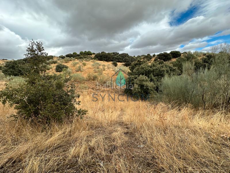 Foto d953ea78-eb3c-4f0c-b35d-bcd282418b80. Fondo rustico in calle la fuente 14 in Valdemorillo pueblo Valdemorillo