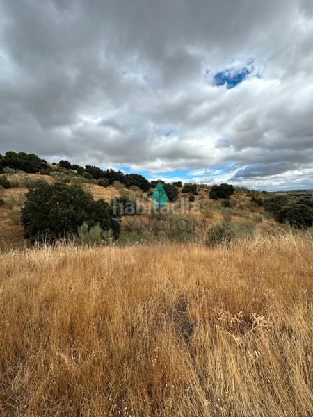 Foto dd1d1301-9640-433d-9dae-d2a9e2efa96e. Fondo rustico in calle la fuente 14 in Valdemorillo pueblo Valdemorillo