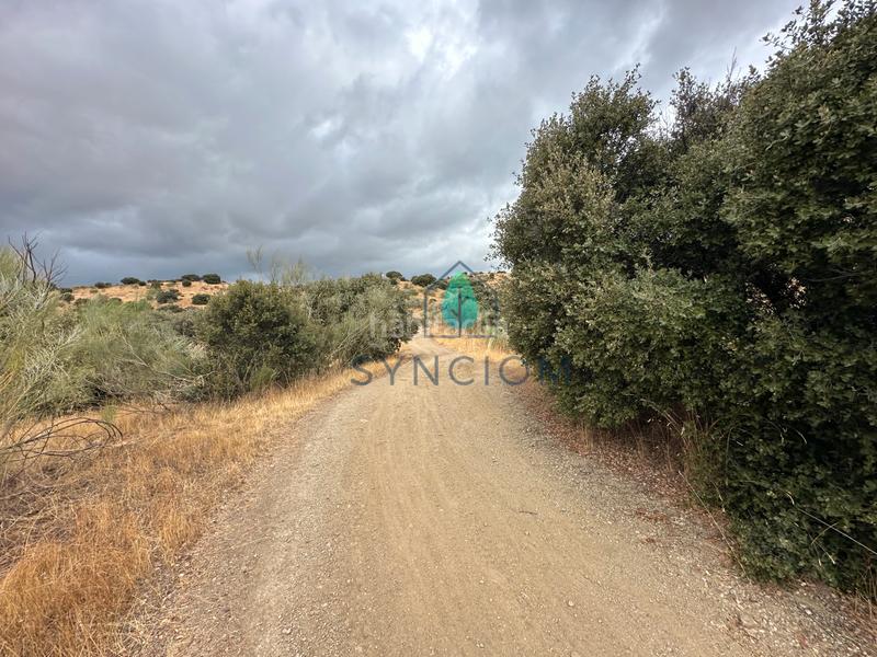 Foto eadc3b2e-fc6a-4d08-8ae4-07c8b0c1e6de. Fondo rustico in calle la fuente 14 in Valdemorillo pueblo Valdemorillo