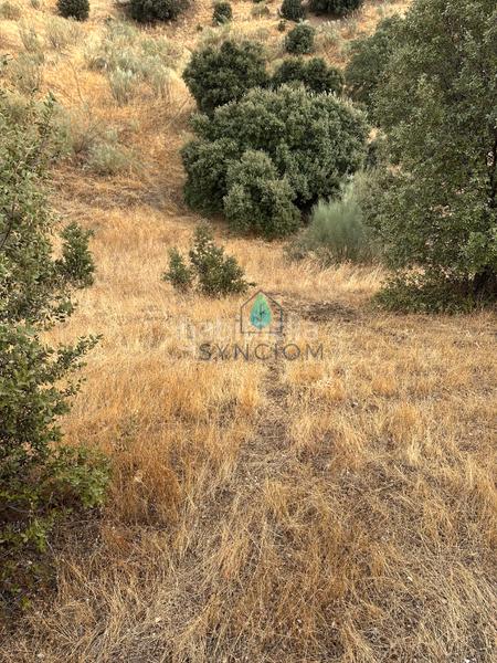 Foto f2095933-5867-4b4c-9515-3ce7044aa42c. Fondo rustico in calle la fuente 14 in Valdemorillo pueblo Valdemorillo