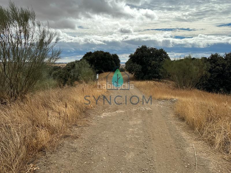 Foto f6f8f364-d7ec-413c-a86b-f825b3682af2. Fondo rustico in calle la fuente 14 in Valdemorillo pueblo Valdemorillo