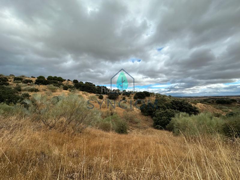 Foto f77e3df1-d7c2-45cf-80fd-f369e56e1ad7. Fondo rustico in calle la fuente 14 in Valdemorillo pueblo Valdemorillo