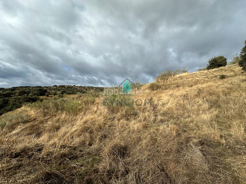 Foto fd8759a0-355e-4aec-8466-f930c4e0ce1e. Fondo rustico in calle la fuente 14 in Valdemorillo pueblo Valdemorillo