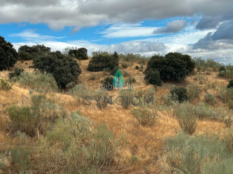 Foto fdb23ffd-7b8b-4178-805a-dbb76a011583. Fondo rustico in calle la fuente 14 in Valdemorillo pueblo Valdemorillo