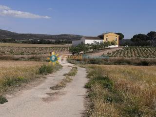 Terreny residencial a El Mercado - Plaza de Toros. Parcela en venta en villena
