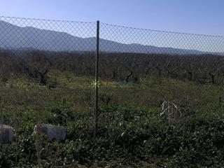 Finca rústica a Castelló de Rugat. Terreno de venta en castellon de rugat