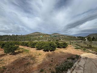 Finca rústica a Benigànim. Terreno de venta en beniganim