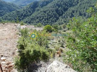 Terreny residencial a Oliva Pueblo. Parcela en venta en oliva bellavista