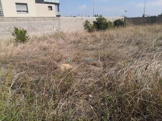 Terreny residencial a Bellreguard. Dos parcelas a la venta en bellreguard
