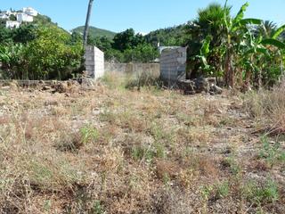 Masia a Pego. Casa de campo a la venta en pego