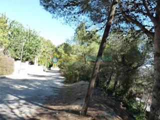 Terreny residencial a Oliva Pueblo. Terreno en venta en oliva