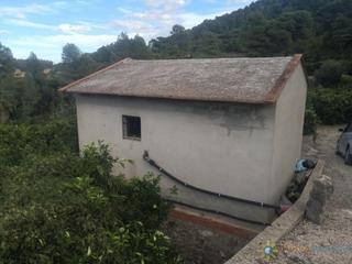 Finca rústica a Sellent. Terreno de venta en sellent